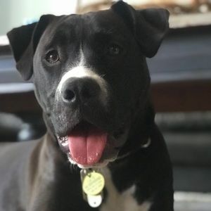 Meet your Posher, Audrey